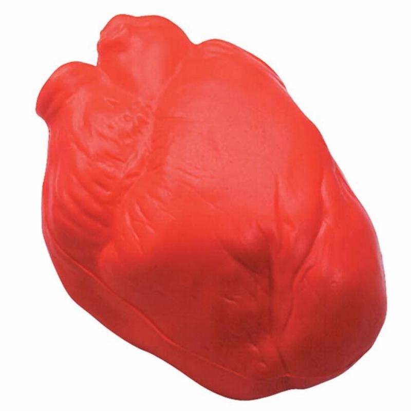 Anatomical Heart Stress Balls