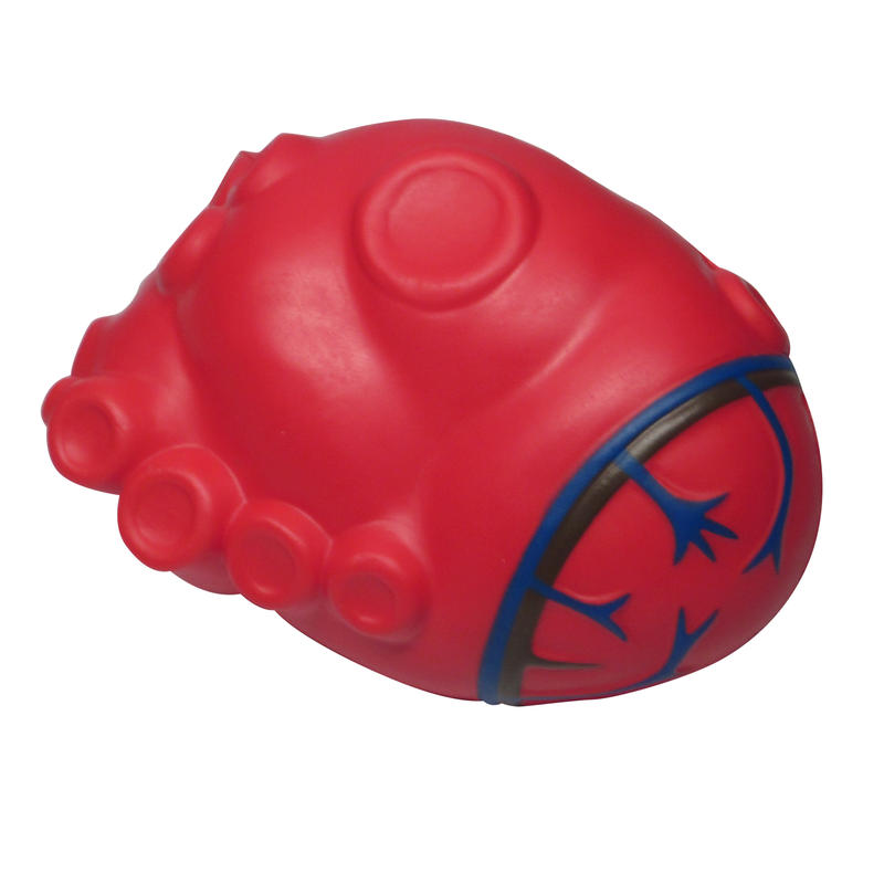 Additional Image # 1