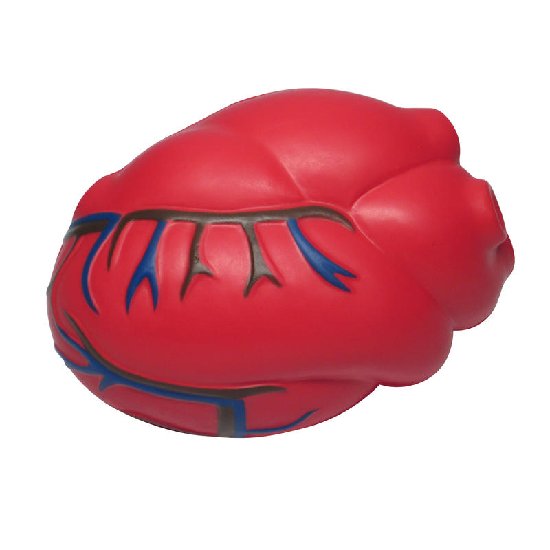 Additional Image # 5