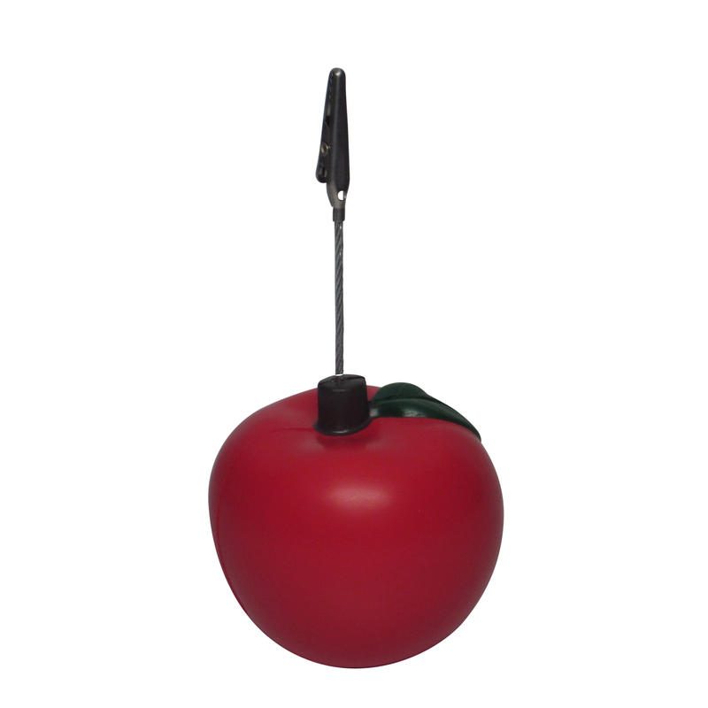 Additional Image # 4