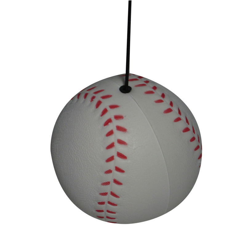 Additional Image # 4