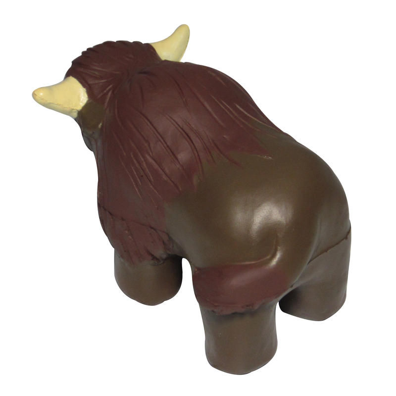 Additional Image # 5