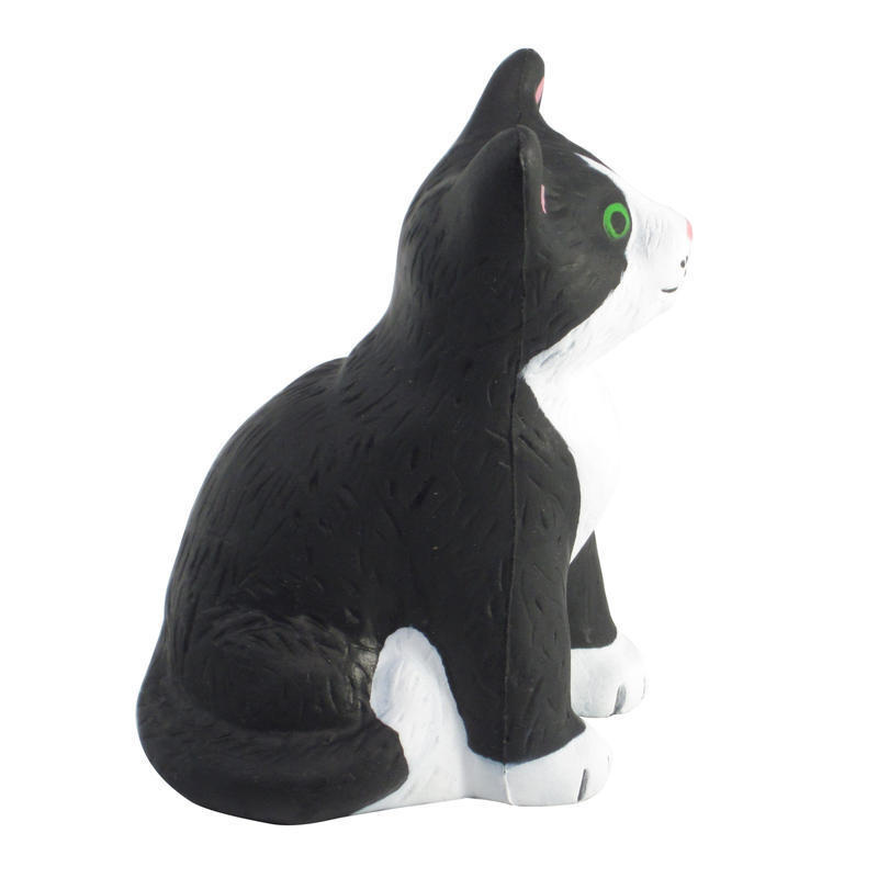 Additional Image # 2