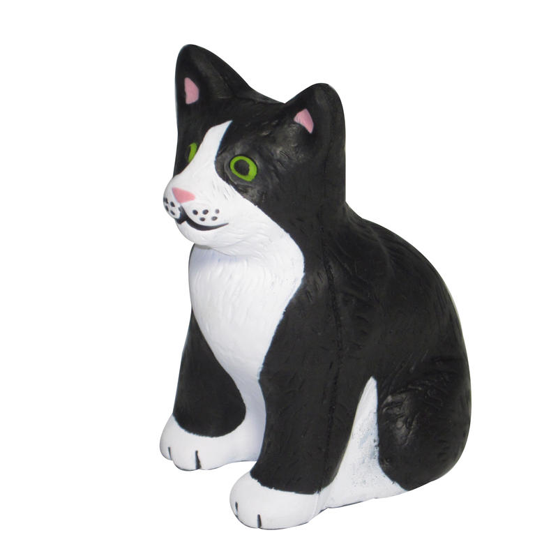 Additional Image # 5