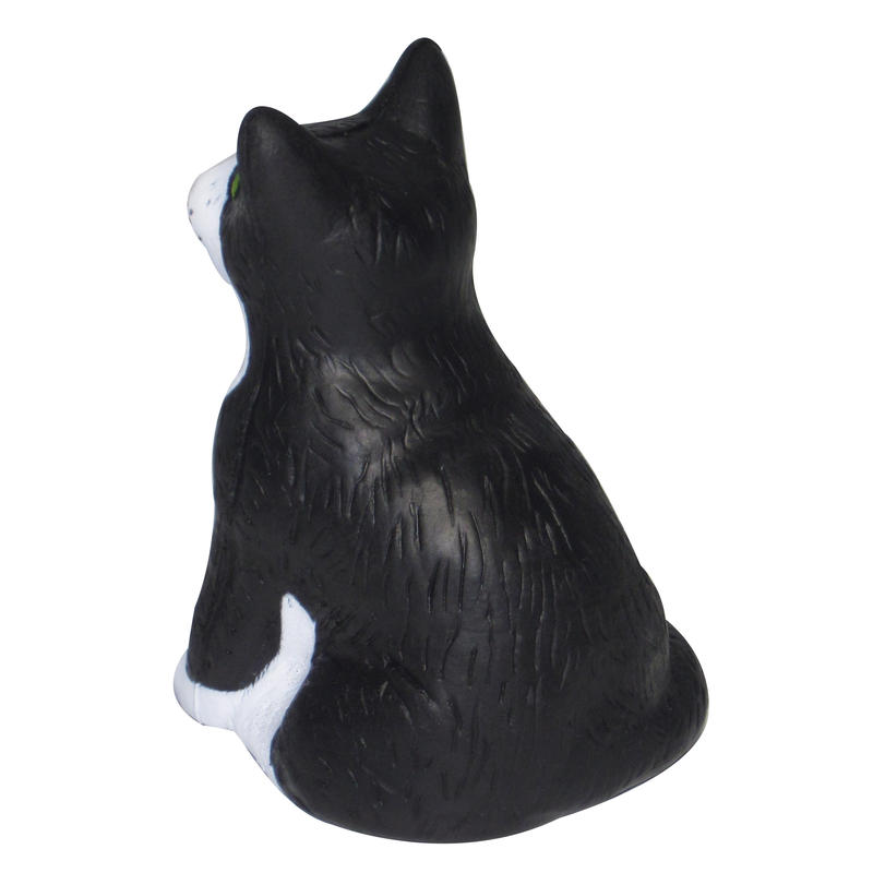 Additional Image # 6