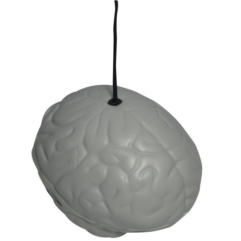 Additional Image # 1