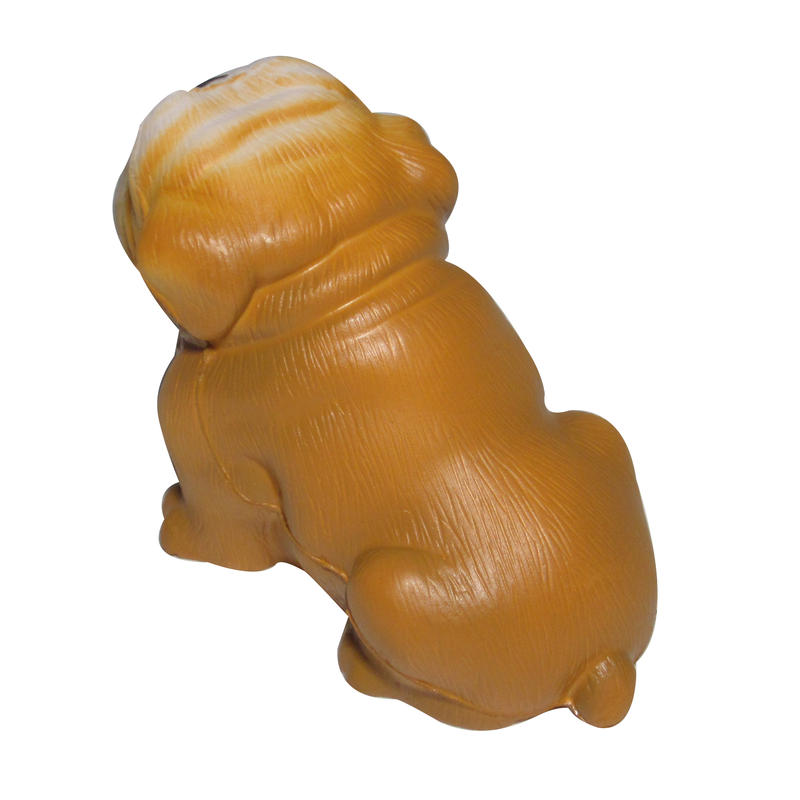 Additional Image # 5