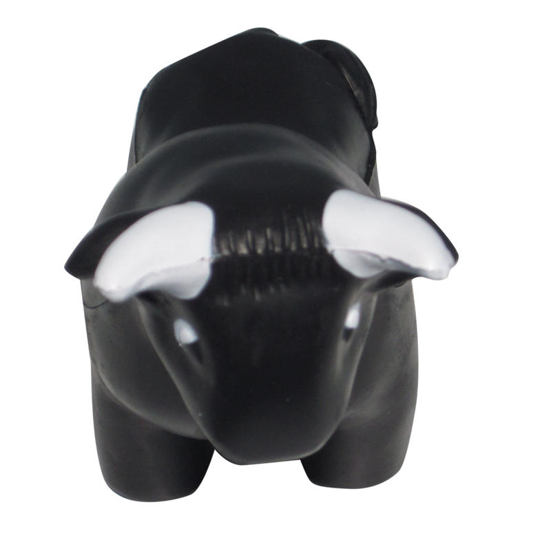 Additional Image # 2