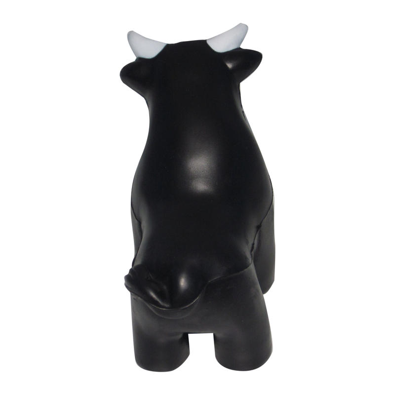 Additional Image # 5