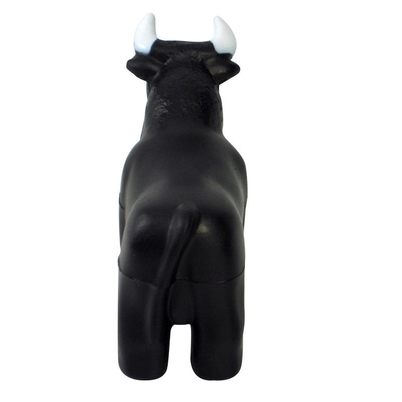 Additional Image # 10