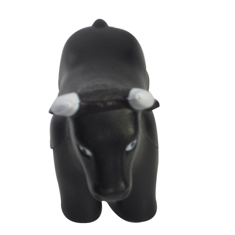 Additional Image # 3