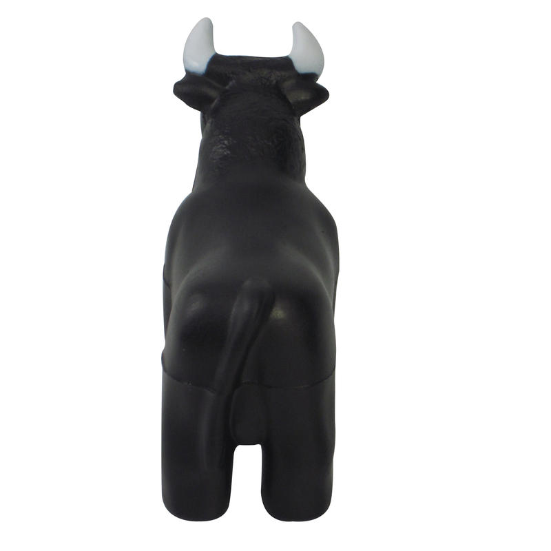 Additional Image # 5