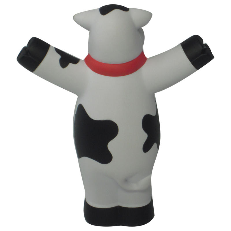 Additional Image # 4