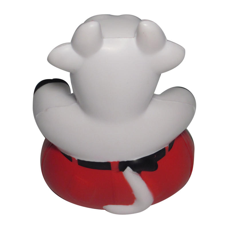 Additional Image # 10