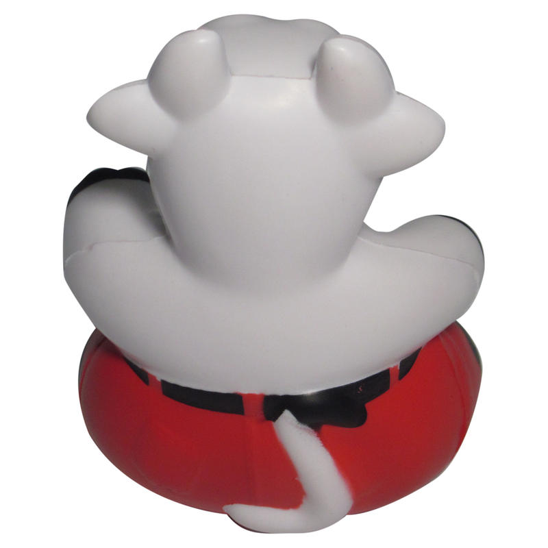 Additional Image # 11