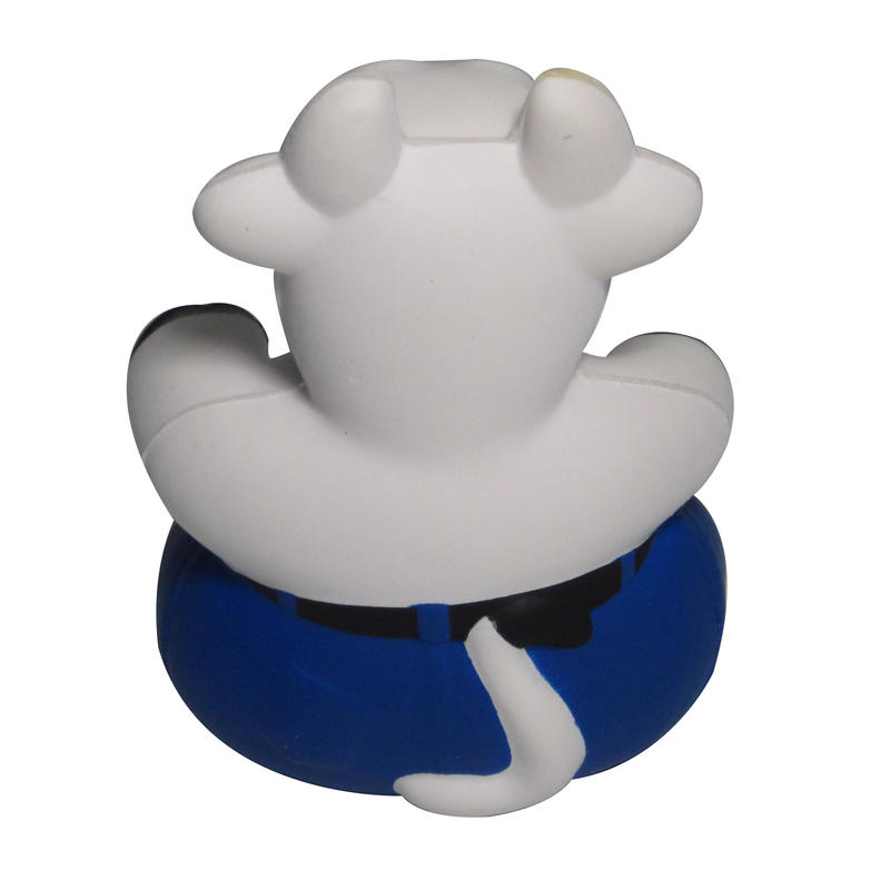 Additional Image # 15