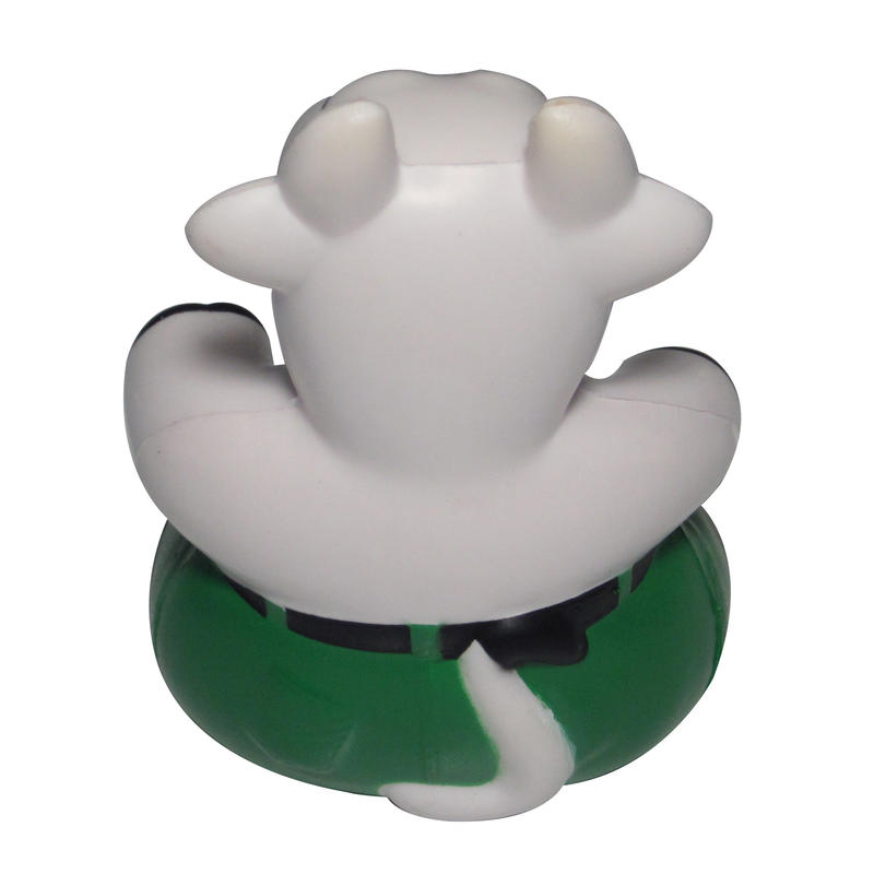 Additional Image # 5