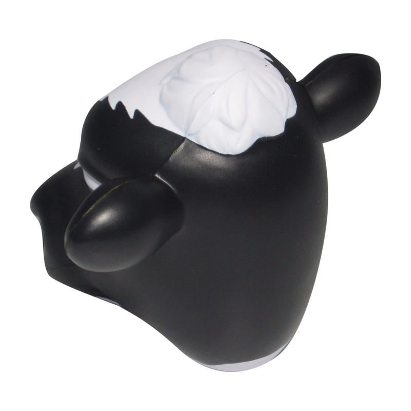 Additional Image # 5