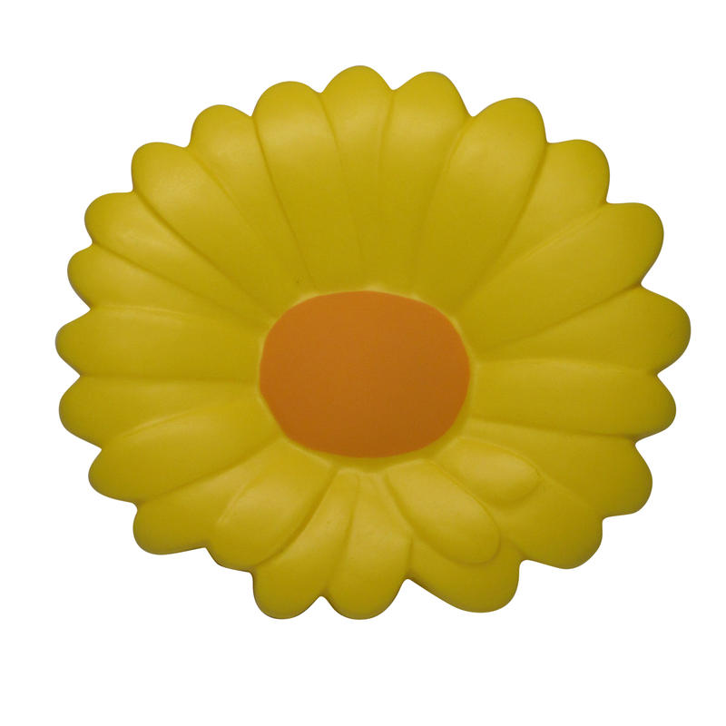 Additional Image # 5