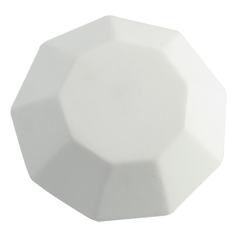 Additional Image # 4