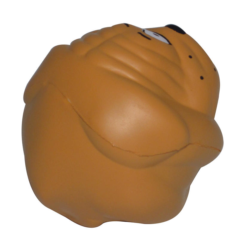 Additional Image # 5