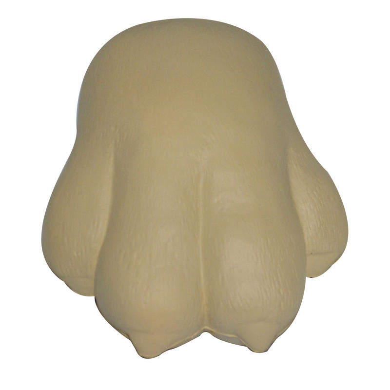 Additional Image # 11