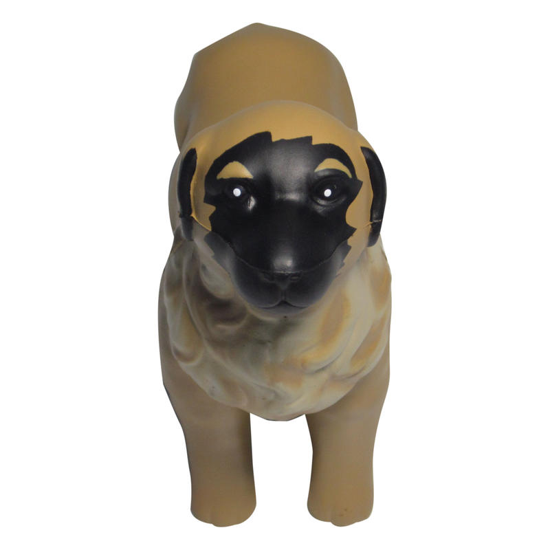 Additional Image # 1