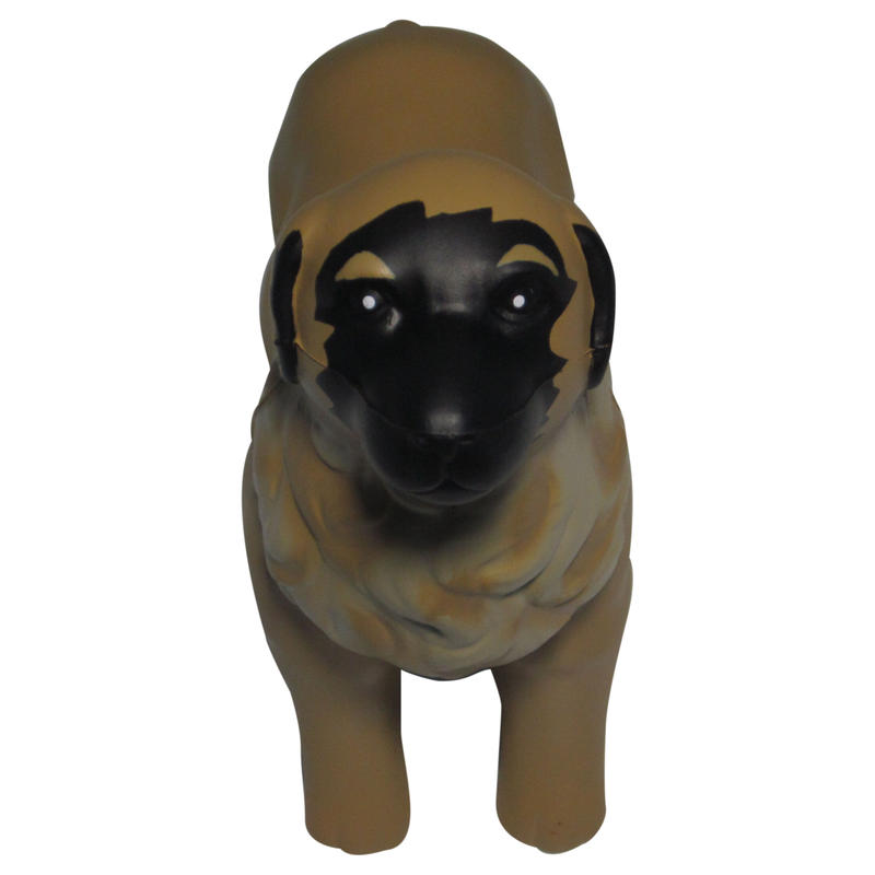 Additional Image # 2