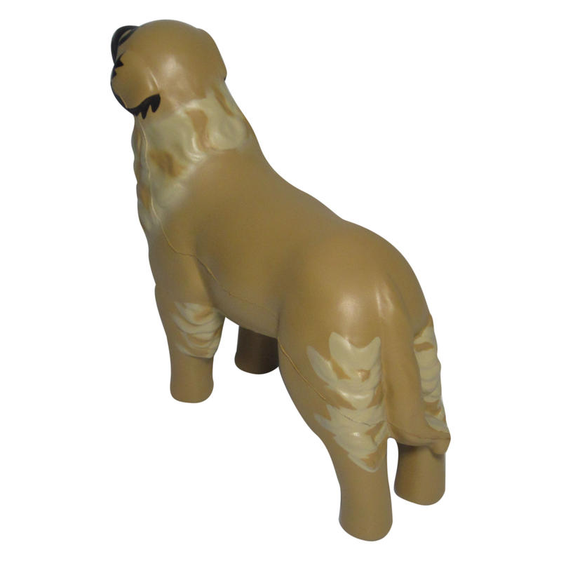 Additional Image # 6