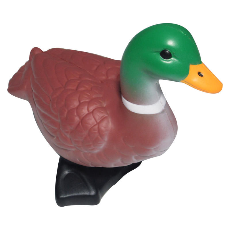 Additional Image # 2