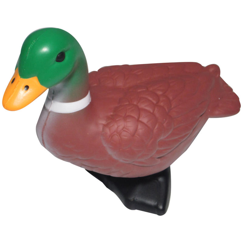 Additional Image # 3