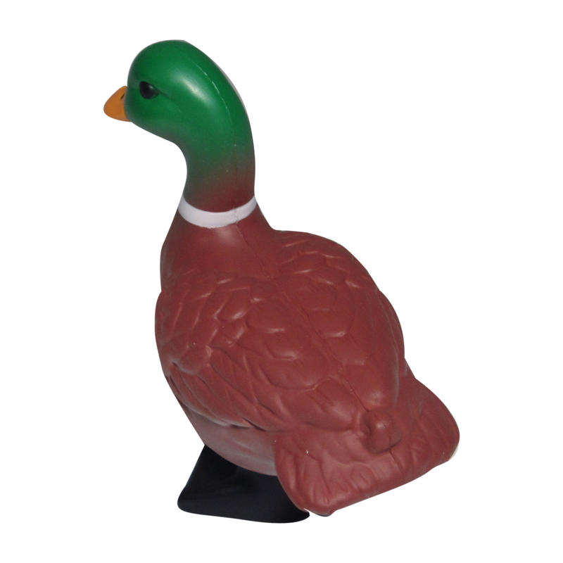 Additional Image # 5