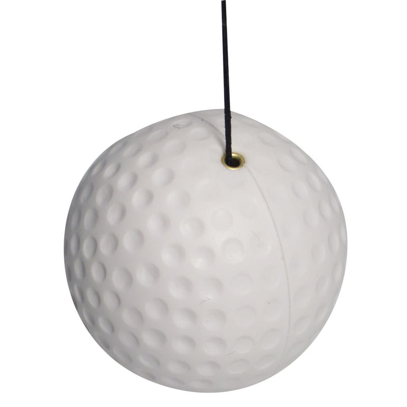 Additional Image # 2