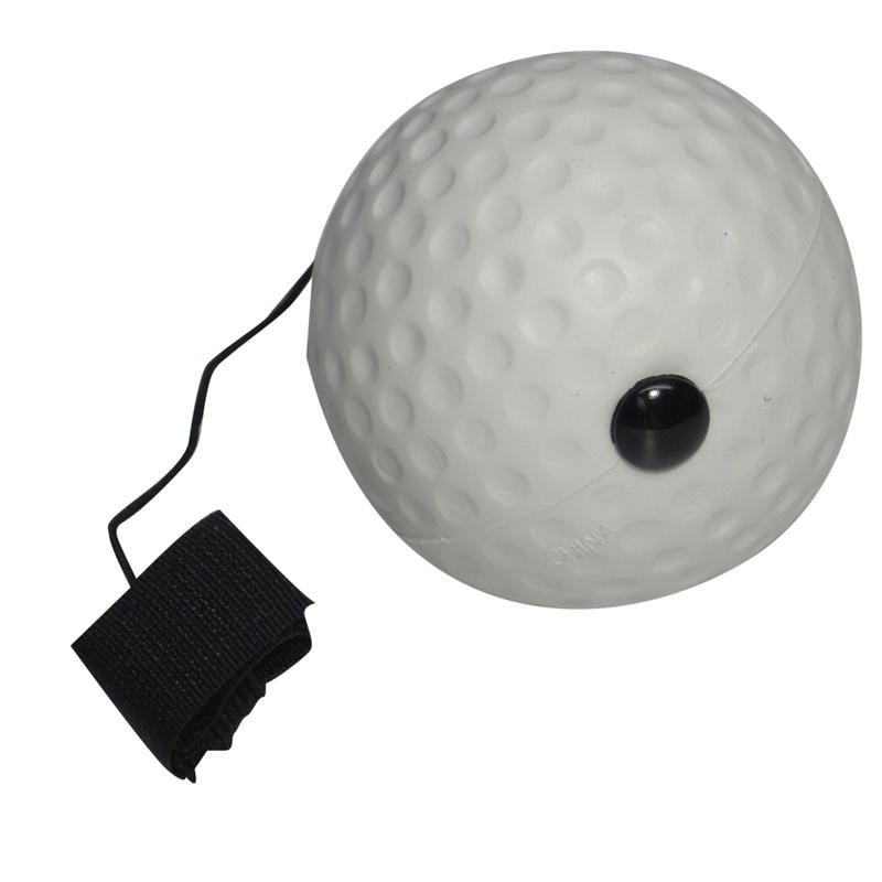 Additional Image # 5