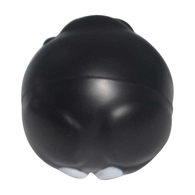 Additional Image # 6