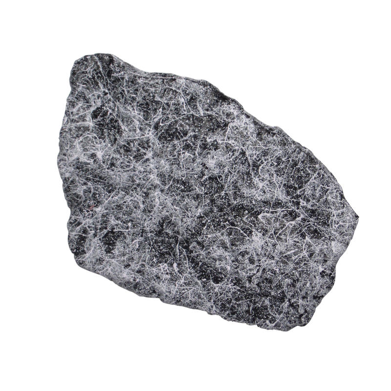 Additional Image # 5