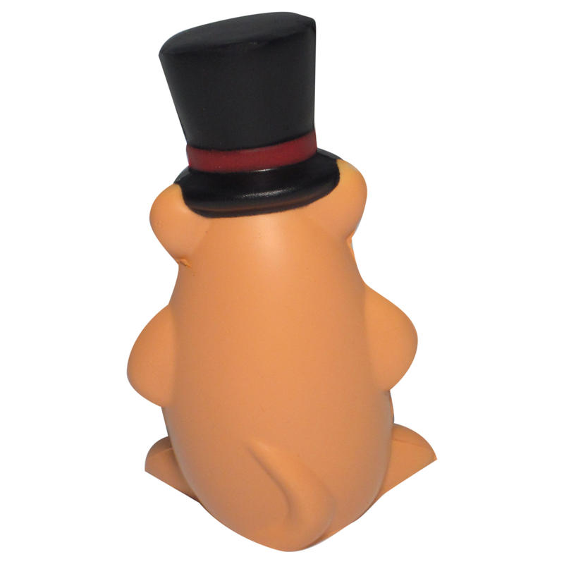 Additional Image # 4