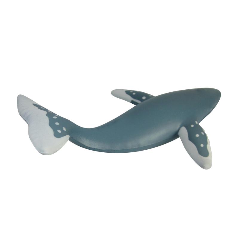 Additional Image # 7