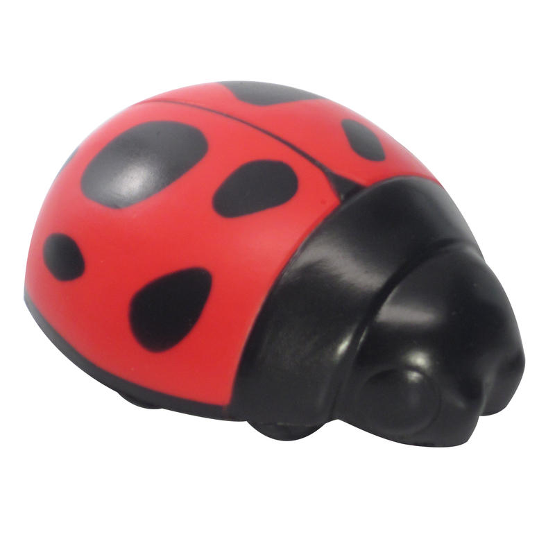 Additional Image # 1