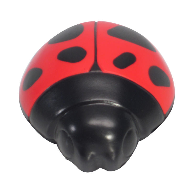 Additional Image # 4