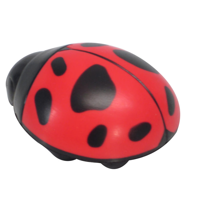 Additional Image # 5