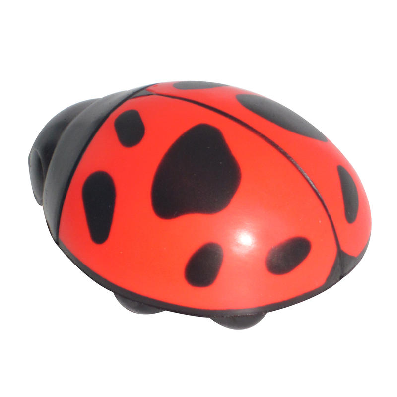 Additional Image # 6