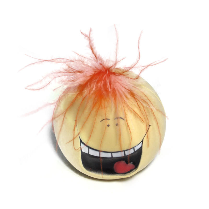 Additional Image # 4