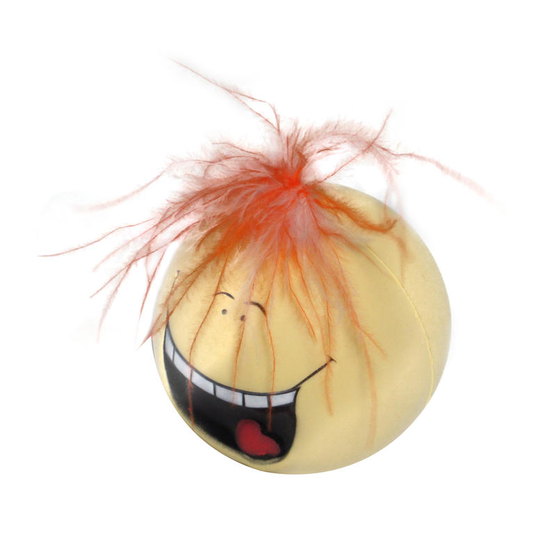 Additional Image # 6