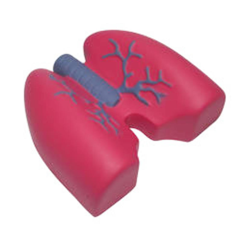 Additional Image # 1