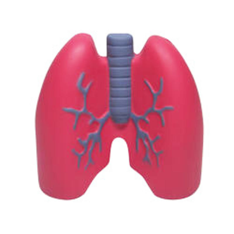 Additional Image # 2