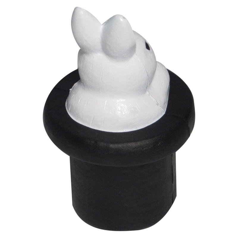 Additional Image # 5