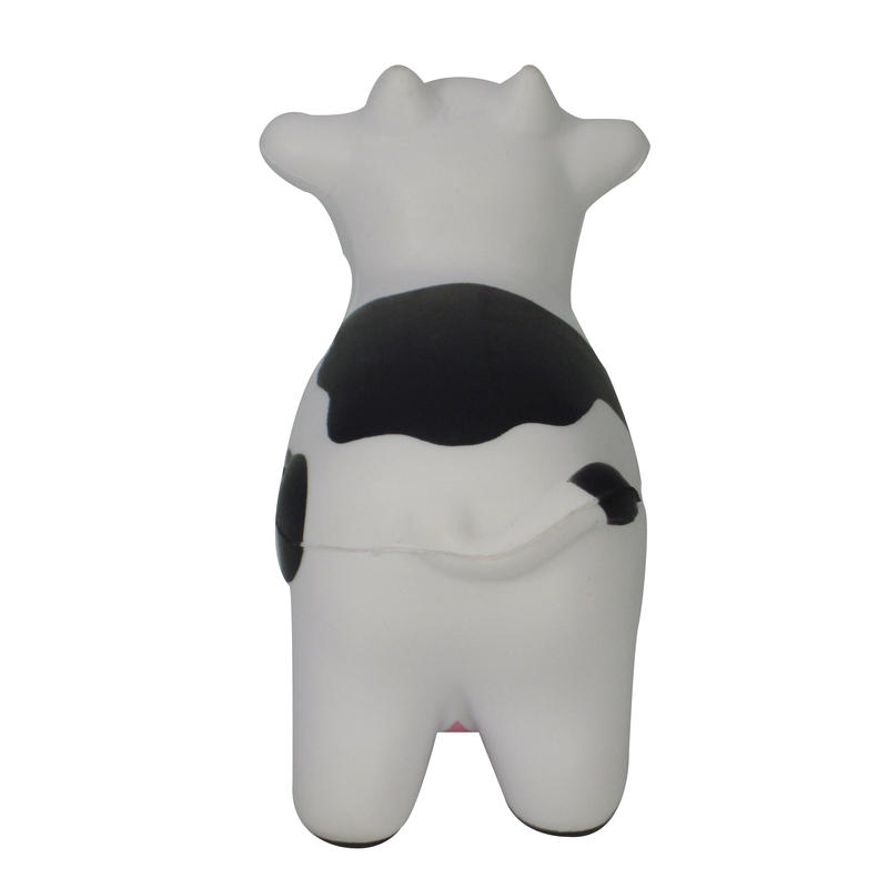 Additional Image # 5