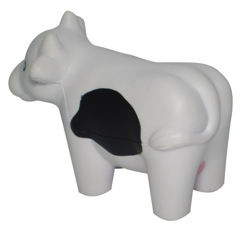 Additional Image # 10