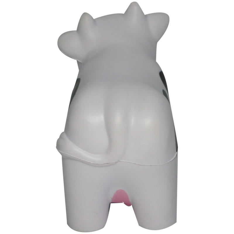 Additional Image # 11